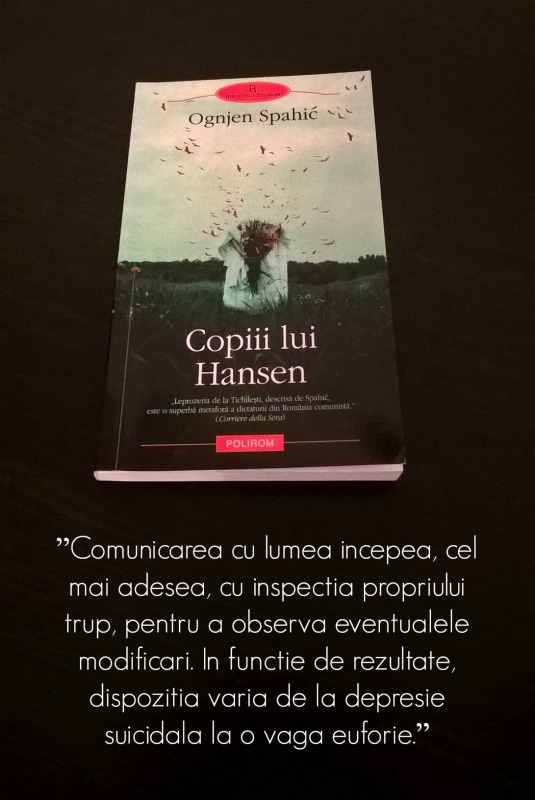 13-carti-de-citit-in-tren-copiii-lui-hansen