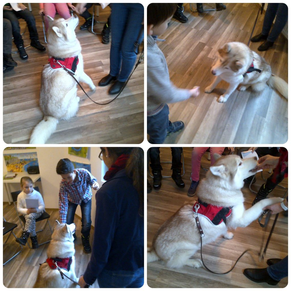 O altfel de educatie nonformala