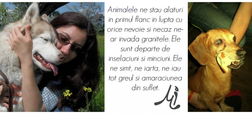 Stânga - Nosy Dreapta - Karrina 