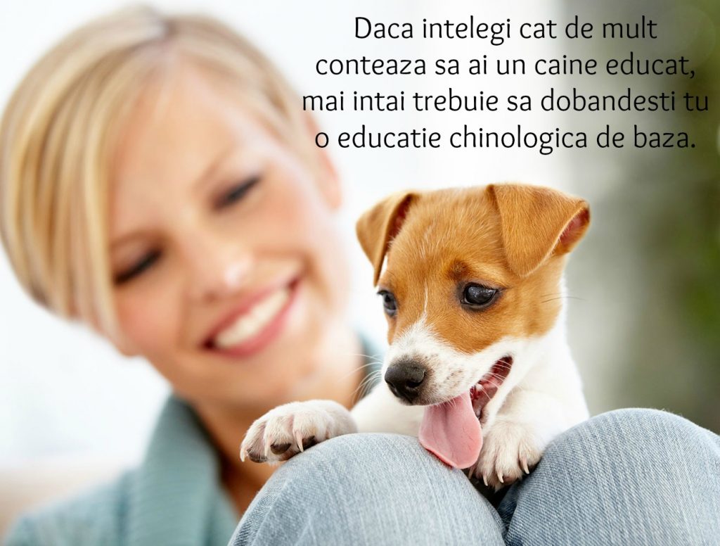 cainele meu familia mea 