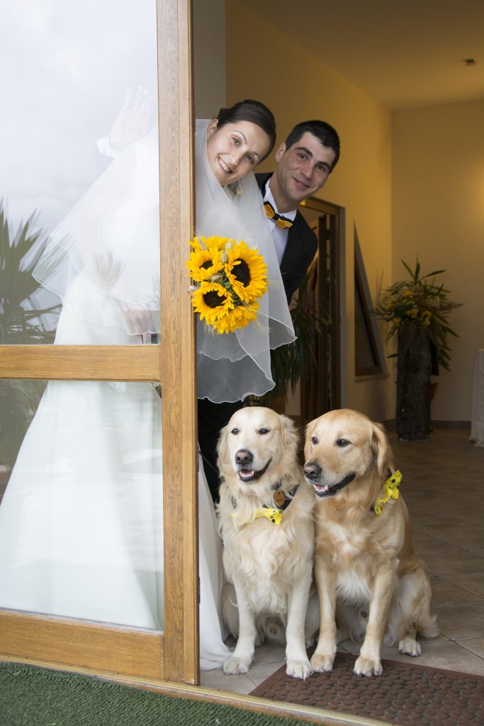 alexandra stancescu nicula