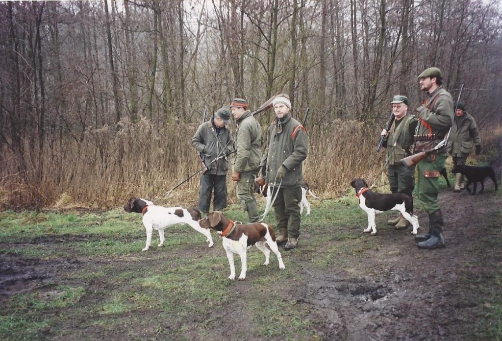 Gammel Dansk Honsehund