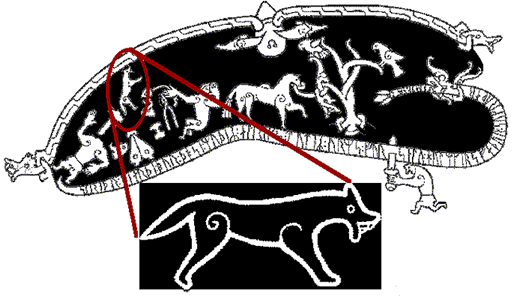 Istoria veche câinii din Carelia şi Vikingii