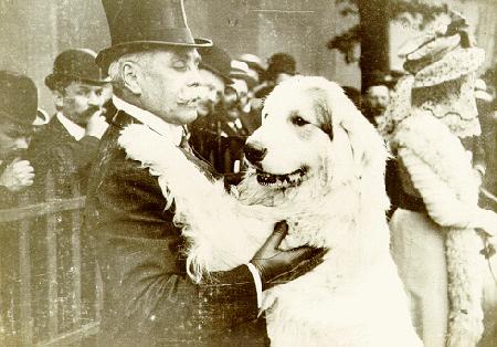 ciobanesc de pirinei