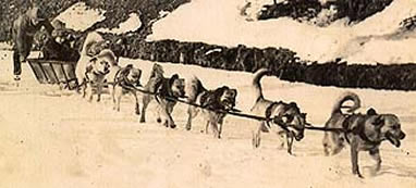 Walden și echipa de câini Chinook în decembrie 1922.