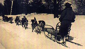 Walden si echipa de câini la Chinook Kennel Wonalancet in Hampshire.