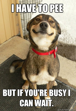 Cum îl înveți să ceară la toaletă 