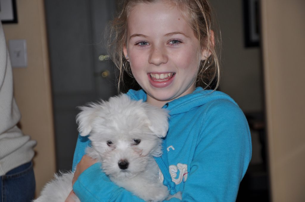 Copilul tău vrea un câine, dar suferă din pricina alergiilor? Nu-l priva de dragostea unui astfel de companion, şi alege un câine dintre rasă care nu are probleme cu năpârlirea. 