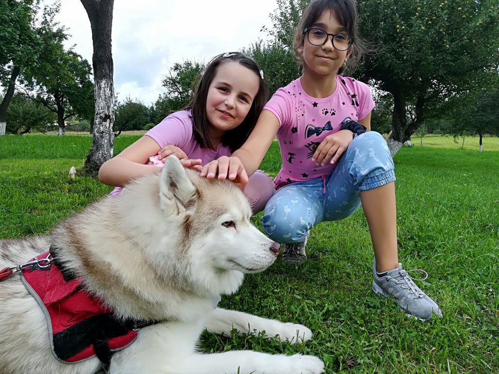 de ce să-l lași în tabără