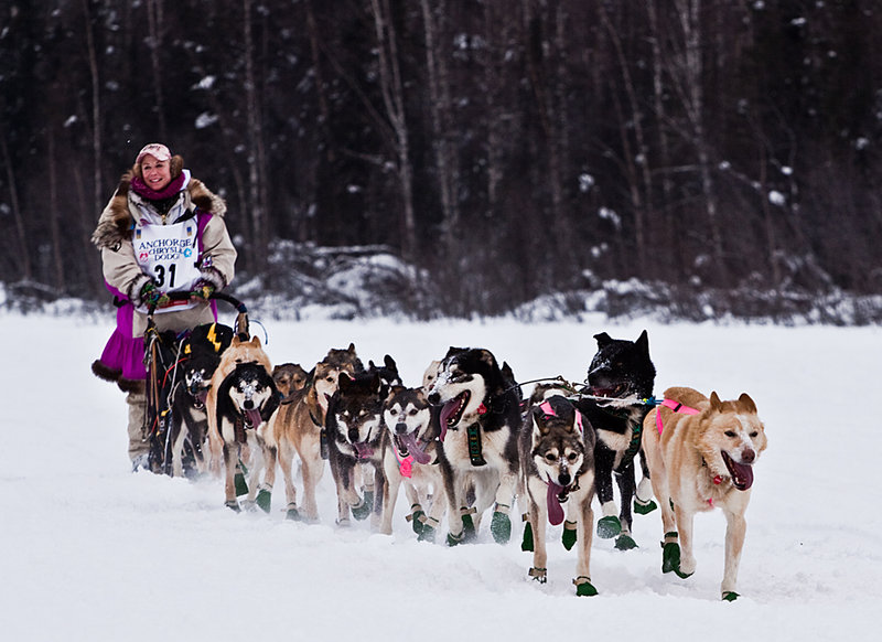 Doamnele de la cârma săniilor  - Femeia și câinele