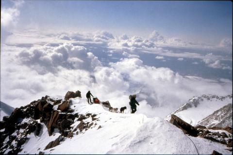 Doamnele de la cârma săniilor  - Femeia și câinele