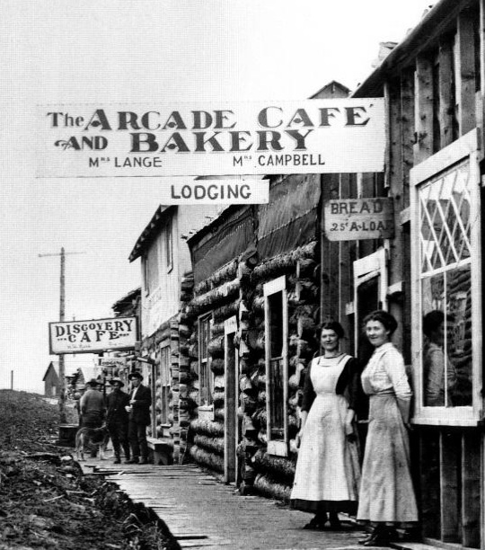 Doamnele de la cârma săniilor  - Femeia și câinele