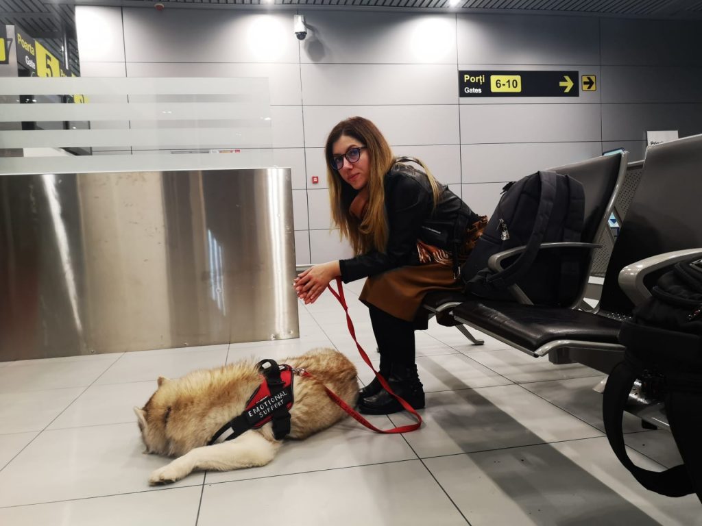 Câinele de suport emoțional