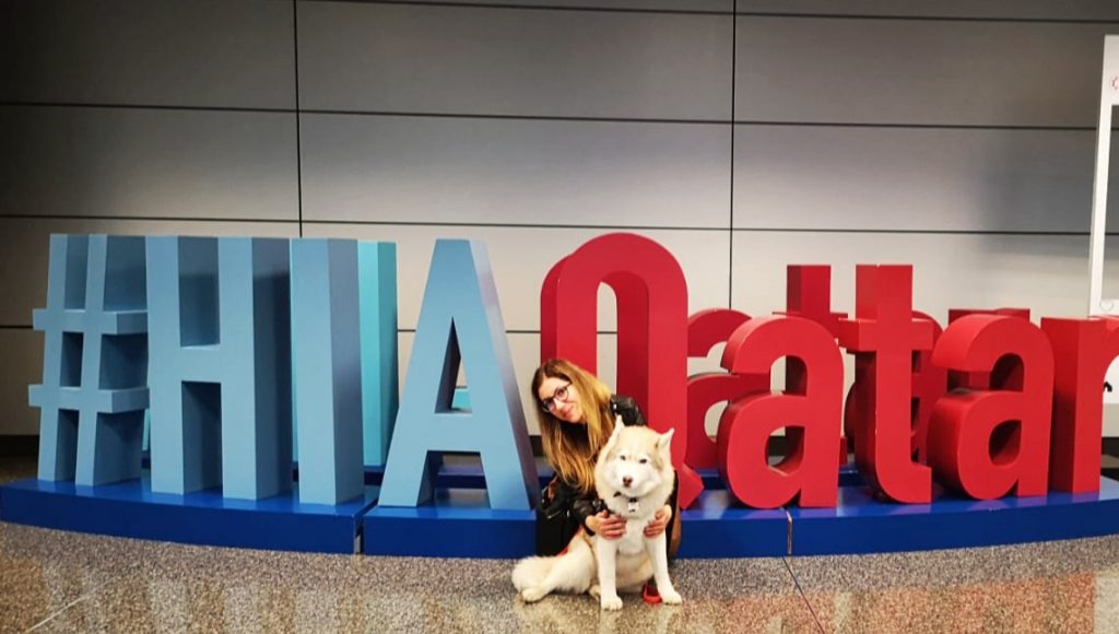 Câinele de suport emoțional