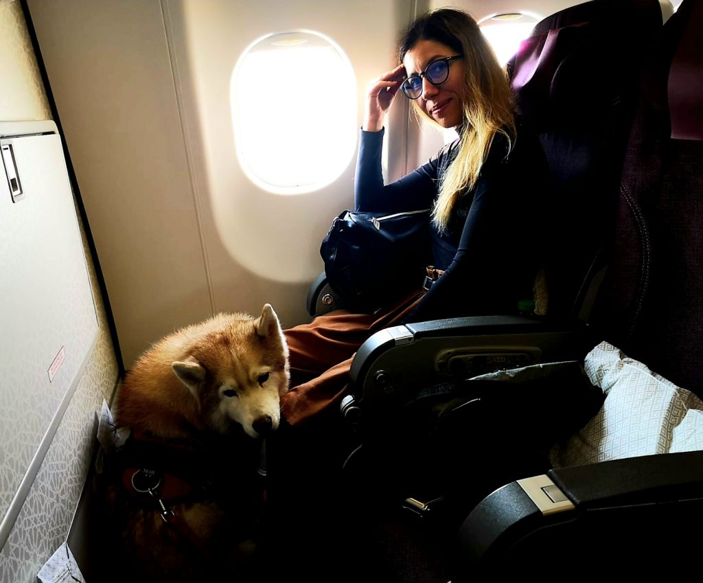 Câinele de suport emoțional