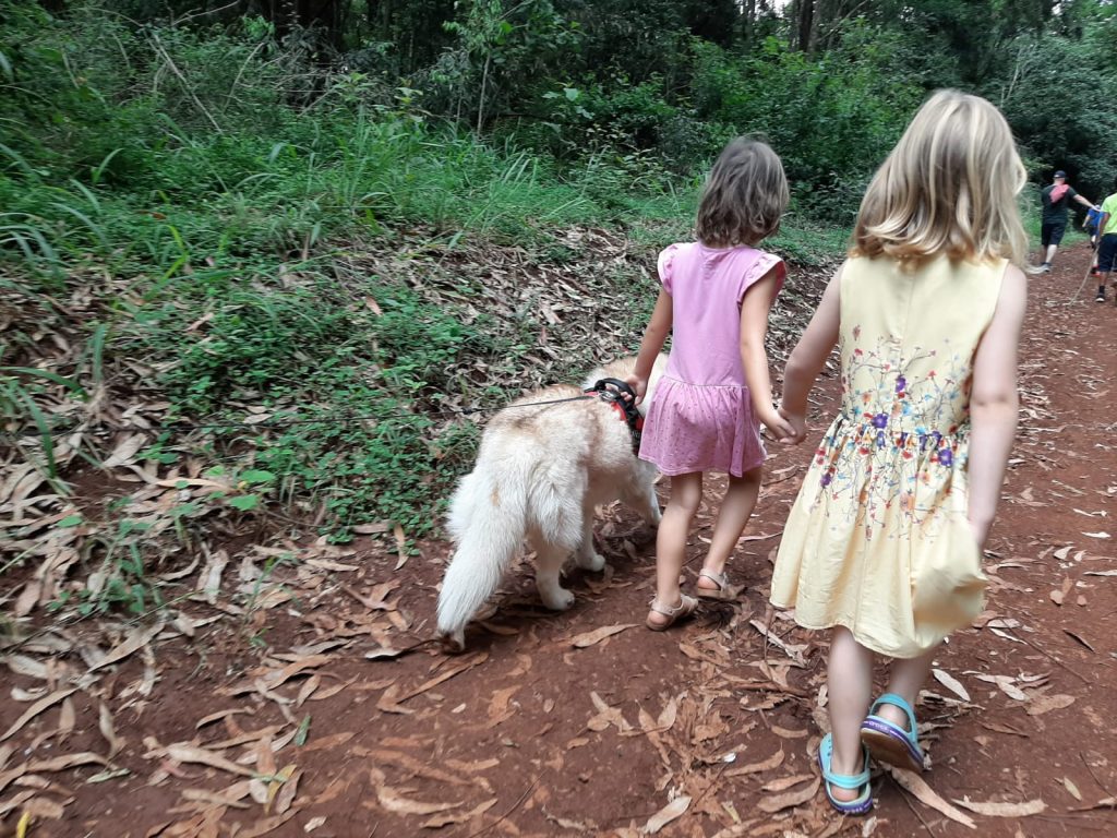 cum să lași copilul să fie fericit