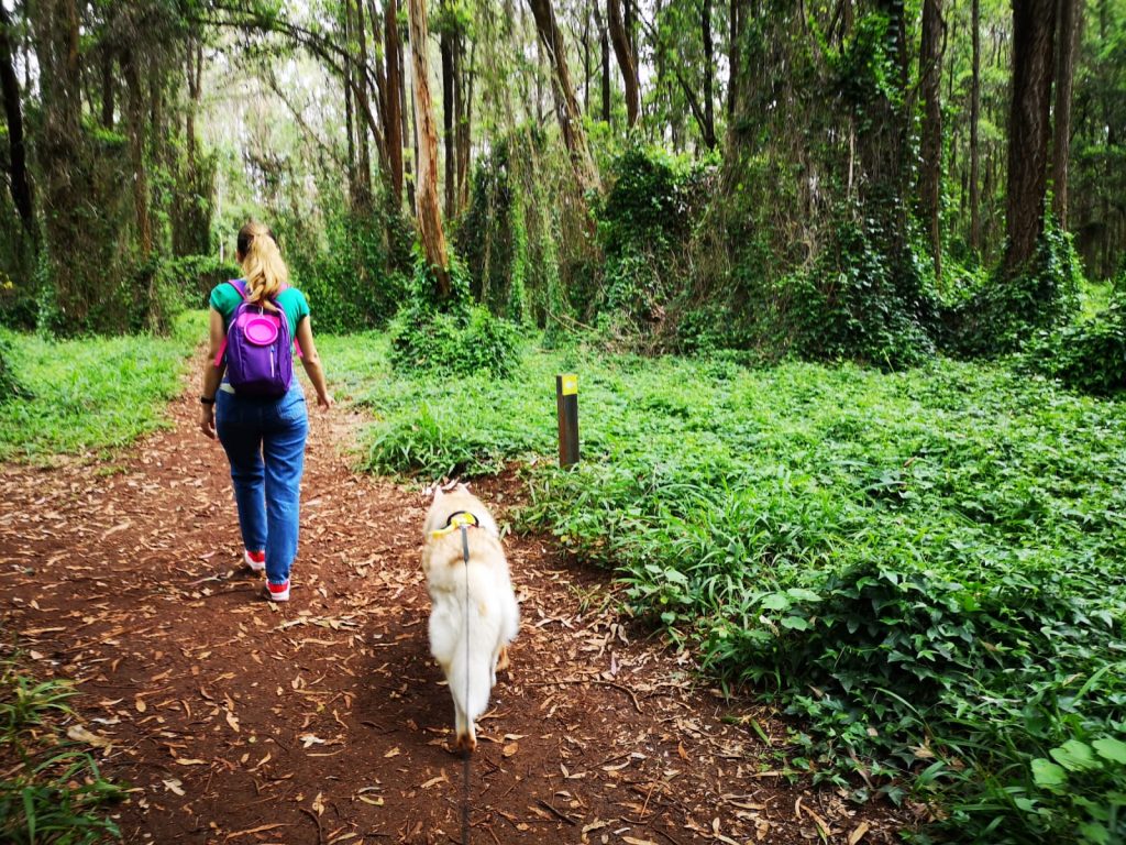 cum să lași copilul să fie fericit