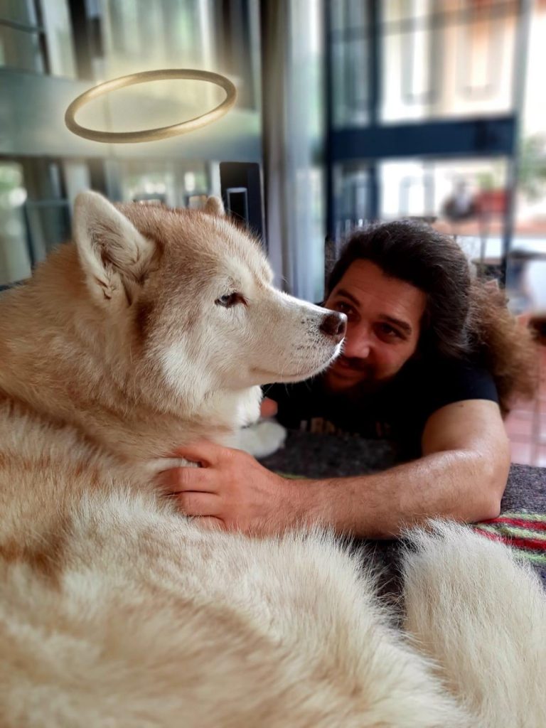 Mereu împreună - doliul după animalul de companie