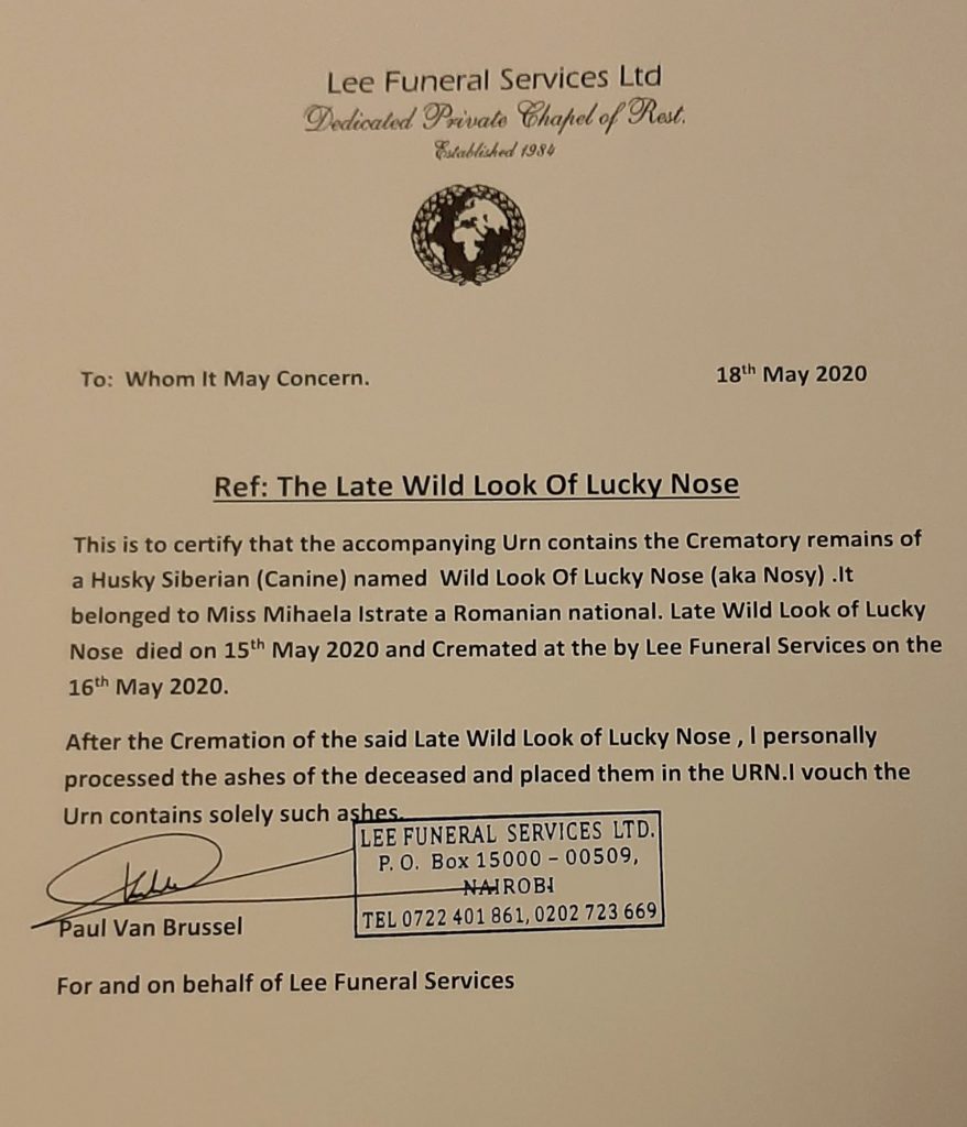 Mereu împreună - doliul după animalul de companie