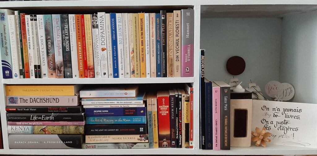 Carte tipărită, ebook sau audiobook